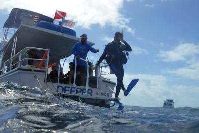 Discover how to Scuba Dive with an Experienced Instructor  Discover how to Scuba Dive with an Experienced Instructor