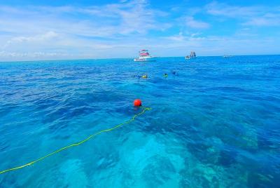 A Unique Private Snorkel Tour of Key Largo  A Unique Private Snorkel Tour of Key Largo