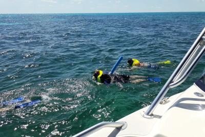 Coral Reef Private Snorkel Tour at John Pennekamp Coral Reef State Park  Coral Reef Private Snorkel Tour at John Pennekamp Coral Reef State Park