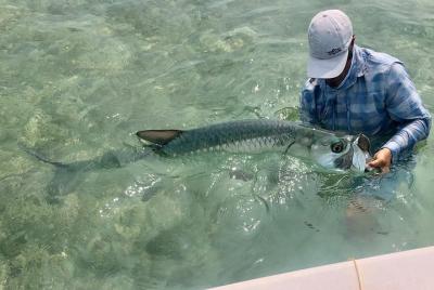 Golden Glare Fishing Charter with Experienced Captain  Golden Glare Fishing Charter with Experienced Captain
