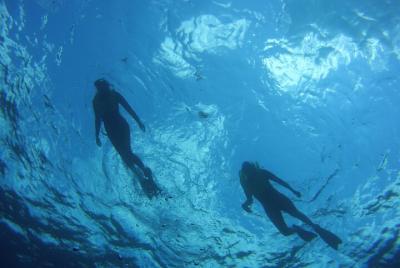 Private Snorkel Charter to the Key Largo Reef for Group of 2 to 11 People Private Snorkel Charter to the Key Largo Reef for Group of 2 to 11 People