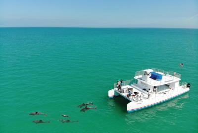 The Key West Dolphin & Snorkel Experience  The Key West Dolphin & Snorkel Experience