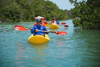 Key West Full-Day Island T Key West Full-Day Island T'ing Eco-Tour: Sail, Kayak and Snorkel
