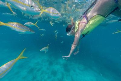 Key West Florida Reef Half-Day Snorkeling Excursion