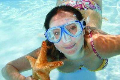 Key West Snorkeling with Breakfast and Unlimited Mimosas  Key West Snorkeling with Breakfast and Unlimited Mimosas