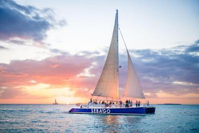 Key West Dolphin Watch Sunset Sail with Premium Wine, and Tapas Pairings