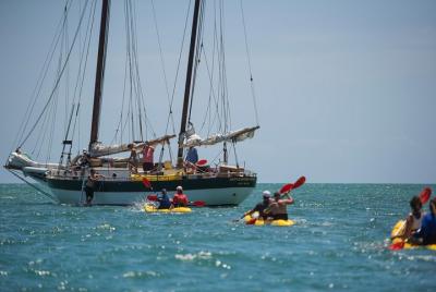 Key West Schooner Backcountry Eco-Tour: Sail, Snorkel & Kayak Key West Schooner Backcountry Eco-Tour: Sail, Snorkel & Kayak