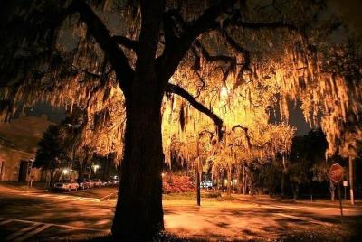 6th Sense Haunted Tour of Key West  6th Sense Haunted Tour of Key West