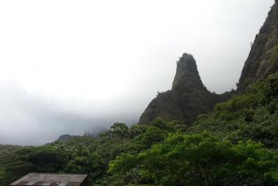 Private Hana, Ocean, Turtle Town, Winery Tour of Maui Private Hana, Ocean, Turtle Town, Winery Tour of Maui