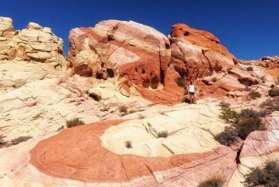 Valley of Fire & Wildlife Viewing Photo Tour from Las Vegas
