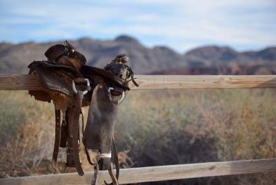 Wild West Sunset Horseback Ride with Dinner from Las Vegas Wild West Sunset Horseback Ride with Dinner from Las Vegas
