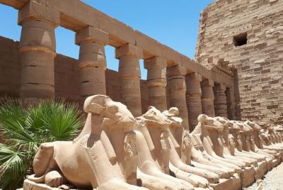 Private Tour from Luxor to East Bank - Karnak and Luxor Temples Private Tour from Luxor to East Bank - Karnak and Luxor Temples
