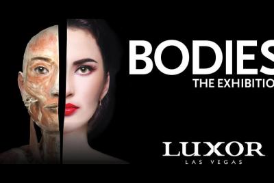 Bodies The Exhibition at the Luxor Hotel and Casino Bodies The Exhibition at the Luxor Hotel and Casino