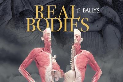 Real Bodies at Bally Real Bodies at Bally's Hotel and Casino
