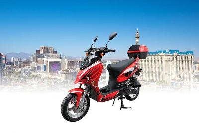 Single/Double Rider for Exploring Las Vegas All Day Rental Single/Double Rider for Exploring Las Vegas All Day Rental