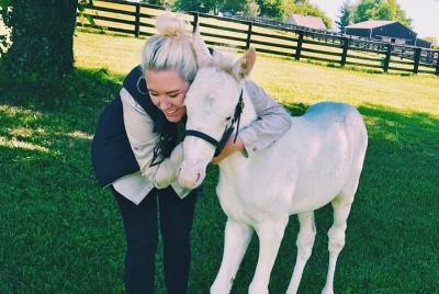 Rarest Thoroughbreds in the World Tour