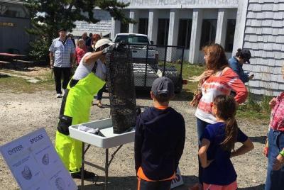 Southold Bay Oyster Farm Tour Southold Bay Oyster Farm Tour