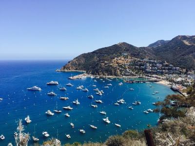 Catalina Island Day Trip from Los Angeles with Discover Avalon Scenic Tour