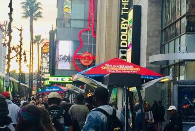 Private Los Angeles City Tour