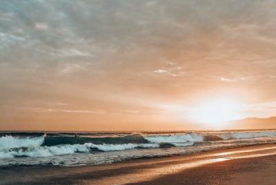 Venice Beach Private Tour