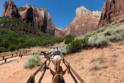 7-Day Tour to San Francisco, Yosemite, Las Vegas, Grand Canyon, a 7-Day Tour to San Francisco, Yosemite, Las Vegas, Grand Canyon, a