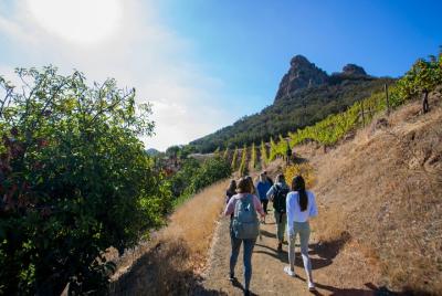 Small-Group Malibu Wine Hike Small-Group Malibu Wine Hike