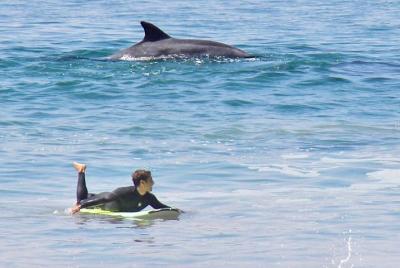 Surf Lessons  Surf Lessons