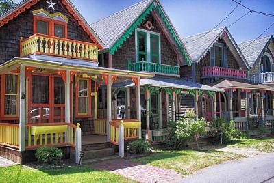 Martha Martha's Vineyard Private Tours
