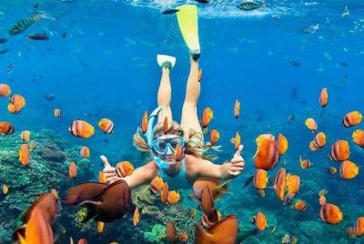 Full-Day Maui Snorkeling at Best Hidden Beaches Tour Full-Day Maui Snorkeling at Best Hidden Beaches Tour