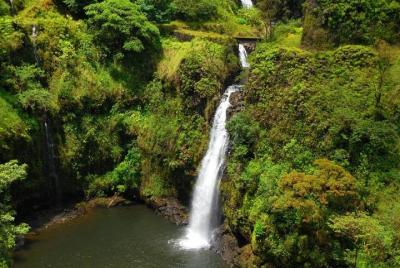 Hana, Waterfalls, Black Beach & Turtles Tour from Kahului Hana, Waterfalls, Black Beach & Turtles Tour from Kahului