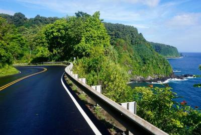 Deluxe Halfway to Hana: Private Tour from Kahului Deluxe Halfway to Hana: Private Tour from Kahului