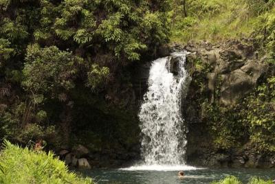 Waterfall and Rainforest Adventure Waterfall and Rainforest Adventure