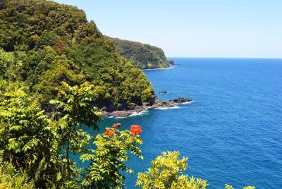 Small-Group Road to Hana Luxury Tour Small-Group Road to Hana Luxury Tour