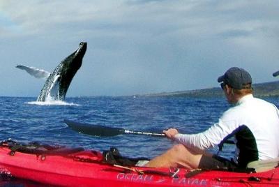 Kayak and Turtle Reef Snorkel at Olowalu Kayak and Turtle Reef Snorkel at Olowalu