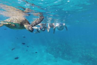 3 hour Makena Kayak Snorkel Tour w/Free Photos 3 hour Makena Kayak Snorkel Tour w/Free Photos