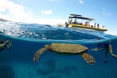 4-Hour Lanai Snorkel Dolphin Express Tour from Lahaina Harbor 4-Hour Lanai Snorkel Dolphin Express Tour from Lahaina Harbor