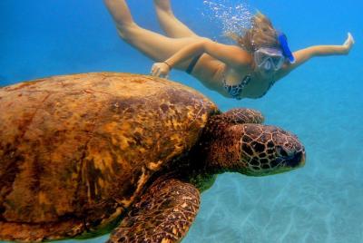 Afternoon Adventure Snorkel from Ka Afternoon Adventure Snorkel from Ka'anapali
