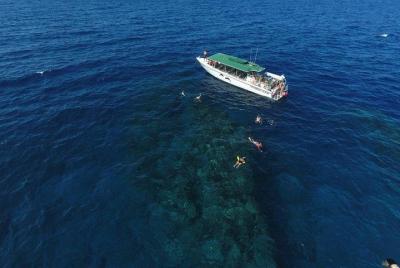 Half Day Snorkel in Lanai Island and Spinner Dolphin Search Half Day Snorkel in Lanai Island and Spinner Dolphin Search