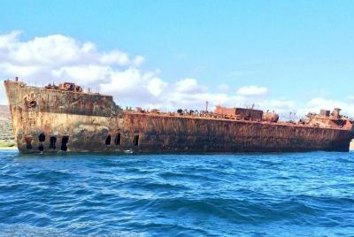 Dolphin, Snorkel, Shipwreck Tour around Lanai from Lahaina Dolphin, Snorkel, Shipwreck Tour around Lanai from Lahaina