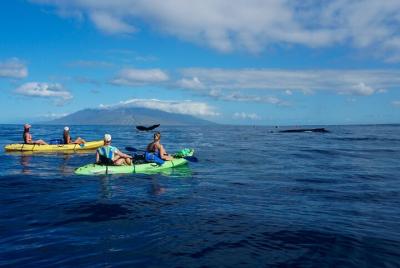 Kayak & Whale Watch Private Tour (7am-10am) Kayak & Whale Watch Private Tour (7am-10am)