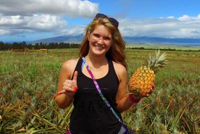 Maui Pineapple Tour Maui Pineapple Tour