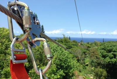 8 Lines Jungle Zipline Tour - Eco Tour 8 Lines Jungle Zipline Tour - Eco Tour