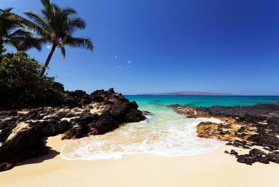 Private South & West Maui Beaches Tour Private South & West Maui Beaches Tour