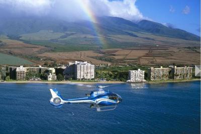 Small-Group Road to Hana Luxury Tour and Helicopter Flight Small-Group Road to Hana Luxury Tour and Helicopter Flight
