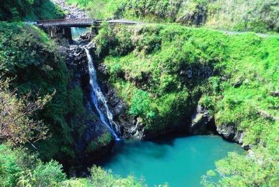 Road to Hana Private Jungle Tour Road to Hana Private Jungle Tour
