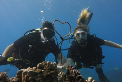 Private Dive for 2 in Lahaina