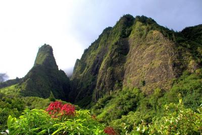 Mountain Valley Loop Hop-On, Hop-Off from Kahului Mountain Valley Loop Hop-On, Hop-Off from Kahului