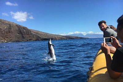 6-Hour Lanai Snorkel Dolphin Extended Tour from Lahaina Harbor 6-Hour Lanai Snorkel Dolphin Extended Tour from Lahaina Harbor