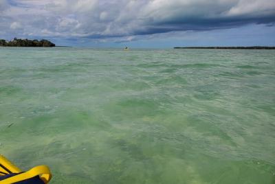 Full-Day Hiking and Paddling Tour in Everglades National Park