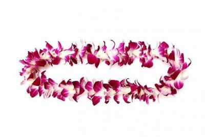 Orchid Airport Lei Greeting (Maui, Kahului Airport, OGG) Orchid Airport Lei Greeting (Maui, Kahului Airport, OGG)